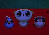 Odo - Kleine Eule ganz groß