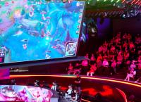 Modern Day Gladiators