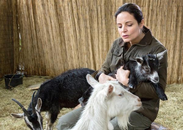 Bild 1 von 3: Esel Eddys Futterboykott stellt Dr. Susanne Mertens (Elisabeth Lanz) vor ein Rätsel. Erst durch Anetts Bemerkung kommt sie darauf, dass der Esel unter Liebeskummer leidet, weil er Freundin Lilly, eine frischgebackene Ziegenmutti, vermisst.