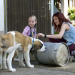 Tiere bis unters Dach