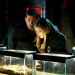CSI: Vegas