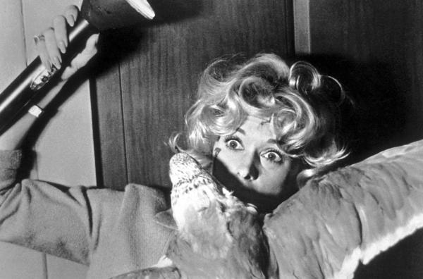 Bild 1 von 6: Berühmte Dachbodenszene mit Tippi Hedren im Film \