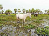 Paraguays unbekannte Schätze