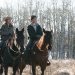 Heartland - Paradies für Pferde