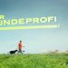 Der Hundeprofi