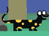 Animanimals - De Füürsalamander