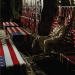American Sniper