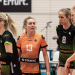 Volleyball - Bundesliga