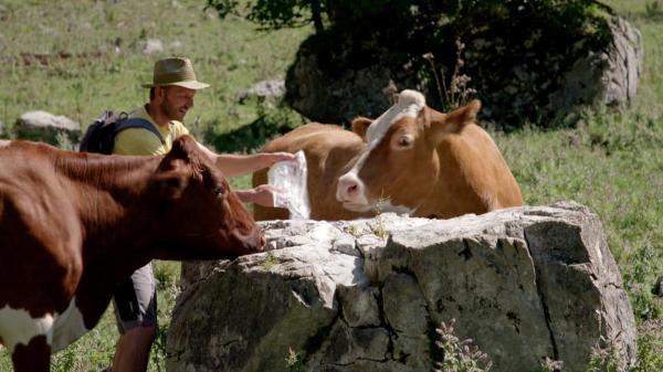 Bild 1 von 7: Im Bild: Bauer Andreas Wolf bei seinen Ku¨hen.