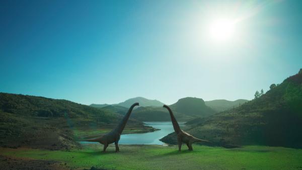 Bild 1 von 13: Wie viele moderne Vogelarten könnten Lusotitanen ein komplexes Balzverhalten entwickelt haben.