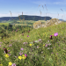 Abenteuer Wildnis