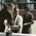 Babylon Berlin