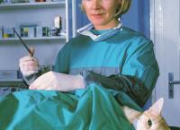 Dr. Stefan Frank - Der Arzt, dem die Frauen vertrauen